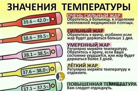 Что означает нормальная температура организма и методы ее измерения?