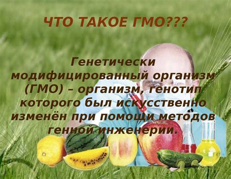 Что такое ГМО?