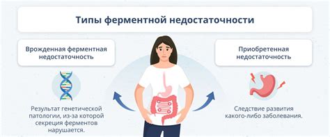 Что такое пшеничные ферменты и какова их роль в процессе приготовления хлеба?