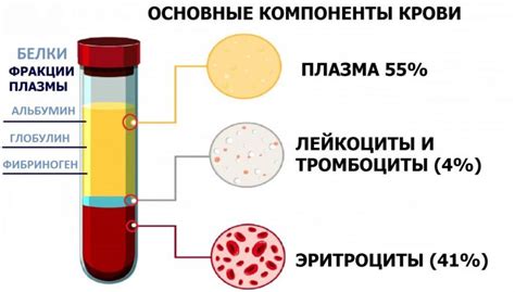 Что такое состав анализа крови и почему он настолько важен?