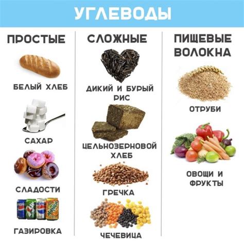 Что такое специальный продукт для питания собак