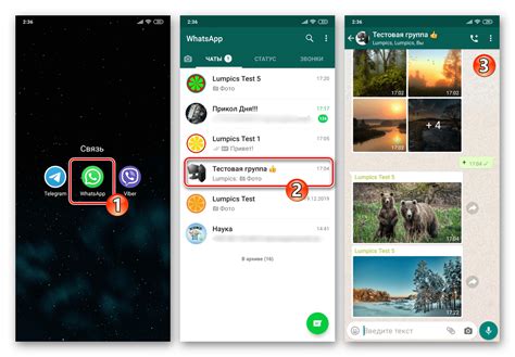 Шаги для отключения проникающей кодировки в WhatsApp на мобильных устройствах