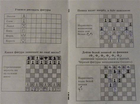 Шаг за шагом осваиваем правила игры Вука Вука: полное руководство