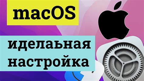 Шаг 2: Настройки доступности на операционной системе macOS