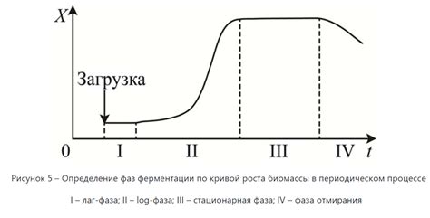 Шаг 3: Процесс ферментации и выдержки