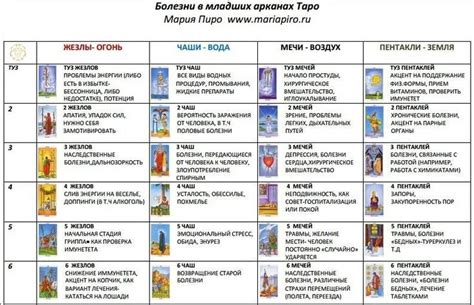 Шершни в сновидении: значение и трактовка