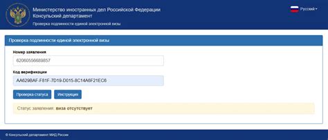 Электронная система проверки информации о статусе визы