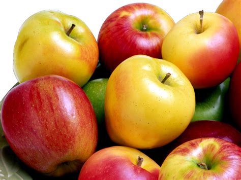 Яблоки: их польза и вред в голодный день