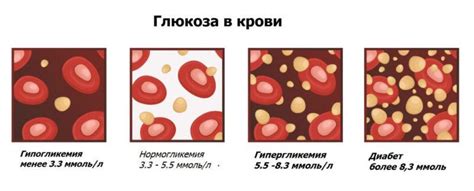 Ягоды - сокровищницы полезных веществ, способствующих снижению уровня глюкозы в организме