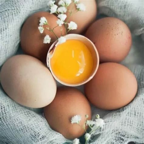 Яйца: супер продукт для энергичного похудения