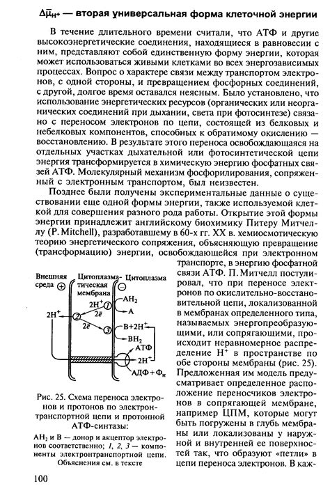  Восстановление связей: шаги по восстановлению соединений после разъединения 