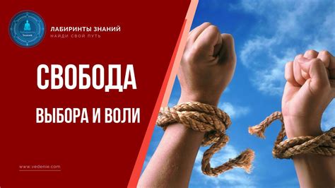  Загрузка и установка модификаций: свобода выбора и совершенствования 