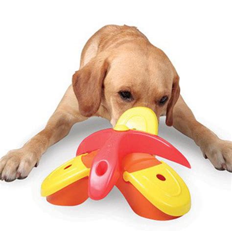  Используйте игрушки и умственные игры для занятия собаки