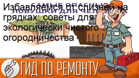  Источник наслаждения и выгоды от территорий для огородничества 