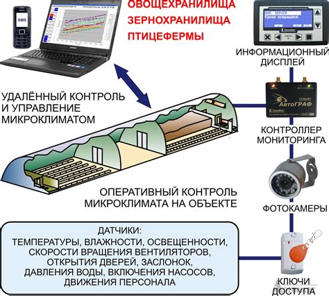  Контроль микроклимата в теплице: оптимальная влажность и освещение
