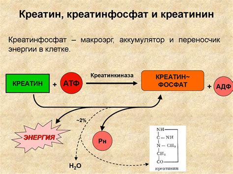  Механизм действия аммиака на различные типы пятен 