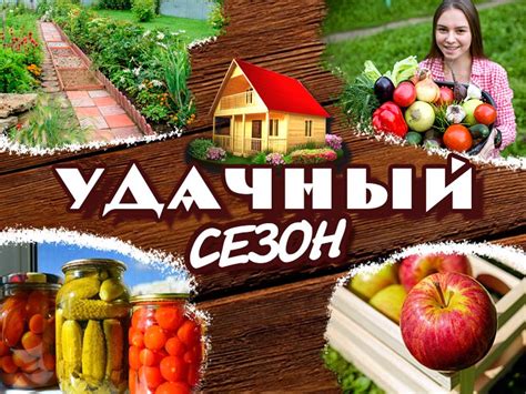  Поделитесь своими достижениями 