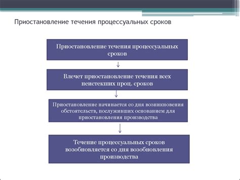  Процессуальные издержки: связанные с прохождением дела через судебную систему 