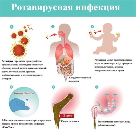  Распространенность вирусной инфекции и угроза для организма 