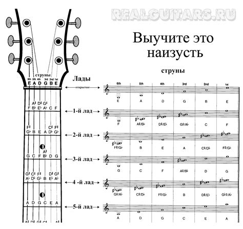  Расстановка пальцев на грифе гитары 