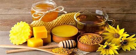  Ролевое значения пчелиного продукта в традиционной медицине 