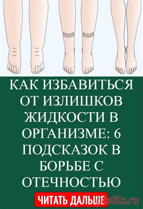  Роль пищи в улучшении процесса удаления излишков жидкости из организма 