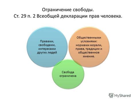  Свобода слова: ограничения и границы 