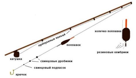  Способы крепления катушки на удочке для эффективной ловли сазана 